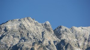 DSC08485