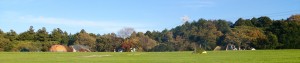 DSC_0250_2