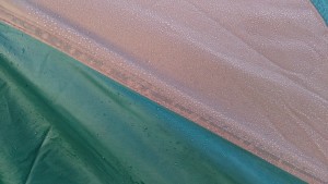 DSC_0276
