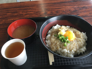 田子の浦漁港　赤富士丼（生しらすの沖漬け丼）