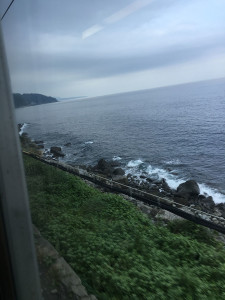 伊豆急行　踊り子からの風景