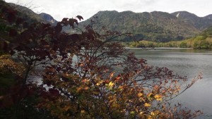 IMG_20161010_124304
