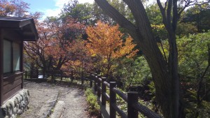 IMG_20161010_124420